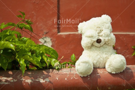 Fair Trade Photo Colour image, Cute, Day, Funny, Horizontal, Outdoor, Peru, Sorry, South America, Teddybear