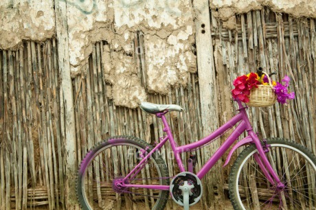 Fair Trade Photo Basket, Bicycle, Closeup, Colour image, Day, Flower, Horizontal, Mothers day, Outdoor, Peru, Purple, South America, Summer, Transport, Valentines day