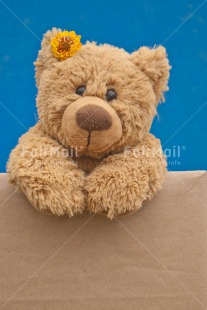 Fair Trade Photo Animals, Bear, Birthday, Blue, Box, Colour image, Congratulations, Flower, Friendship, Get well soon, Love, New beginning, Peluche, Peru, Sorry, South America, Teddybear, Thinking of you, Yellow