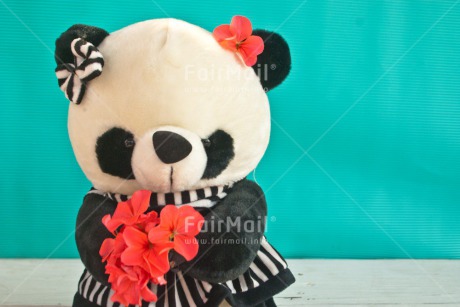 Fair Trade Photo Animals, Birthday, Blue, Colour image, Congratulations, Flower, Friendship, Get well soon, Love, New beginning, Panda, Peluche, Peru, Red, Sorry, South America, Thinking of you