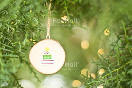 Fair Trade Photo Chachapoyas, Christmas, Christmas ball, Christmas decoration, Christmas tree, Colour image, Green, Horizontal, Leaf, Light, Peru, Pine, South America, Star, Wood