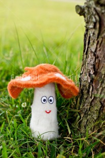 Fair Trade Photo Birthday, Chachapoyas, Colour image, Friendship, Green, Mushroom, Peru, South America, Thank you, Thinking of you, Tree, Vertical