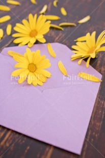 Fair Trade Photo Birthday, Colour image, Envelope, Flower, Friendship, Love, Marriage, Mothers day, Peru, Petals, Purple, South America, Thank you, Thinking of you, Valentines day, Vertical, Wedding, Welcome home, Wood, Yellow