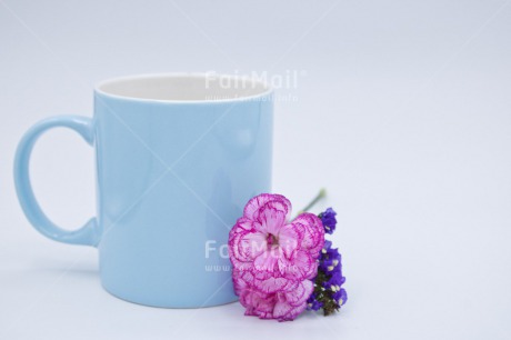 Fair Trade Photo Colour image, Cup, Fathers day, Flower, Horizontal, Love, Peru, Purple, South America, Thank you, Thinking of you, Valentines day, White