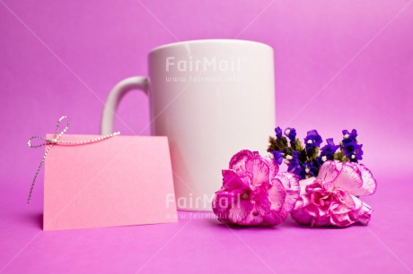 Fair Trade Photo Birthday, Colour image, Cup, Fathers day, Flower, Friendship, Get well soon, Horizontal, Love, Mothers day, New beginning, New home, Peru, Purple, South America, Thank you, Thinking of you, Valentines day, Welcome home