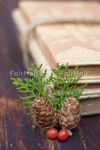 Fair Trade Photo Book, Christmas, Christmas decoration, Colour, Colour image, Object, Pine, Pine cone, Place, Red, South America, Vertical, Wood