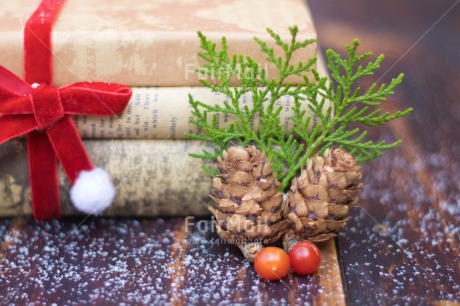 Fair Trade Photo Book, Christmas, Christmas decoration, Colour, Colour image, Horizontal, Object, Pine, Pine cone, Place, Red, Snow, South America, Staple, Wood