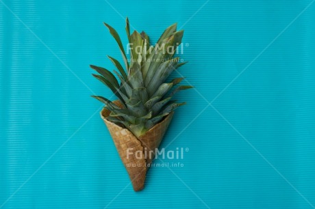 Fair Trade Photo Activity, Colour, Colour image, Colourful, Cone, Dreaming, Dreams, Emotions, Food, Food and alimentation, Fresh, Fruit, Happiness, Peru, Pineapple, Place, Seasons, South America, Summer