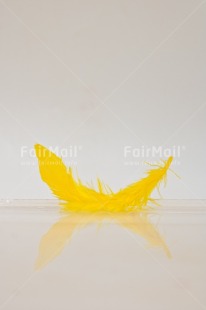 Fair Trade Photo Adjective, Colour, Colour image, Feather, Friendship, Get well soon, Peace, Peru, Place, Sorry, South America, Spirituality, Thank you, Thinking of you, Values, Vertical, White, Yellow