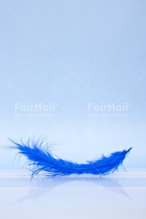 Fair Trade Photo Adjective, Blue, Colour, Colour image, Feather, Friendship, Get well soon, Peace, Peru, Place, Sorry, South America, Spirituality, Thank you, Thinking of you, Values, Vertical, White