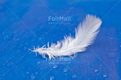 Fair Trade Photo Adjective, Blue, Colour, Colour image, Feather, Friendship, Get well soon, Horizontal, Peace, Peru, Place, Sorry, South America, Spirituality, Thank you, Thinking of you, Values, White