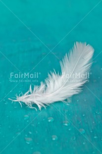 Fair Trade Photo Adjective, Blue, Colour, Colour image, Feather, Friendship, Get well soon, Peace, Peru, Place, Sorry, South America, Spirituality, Thank you, Thinking of you, Values, Vertical, White