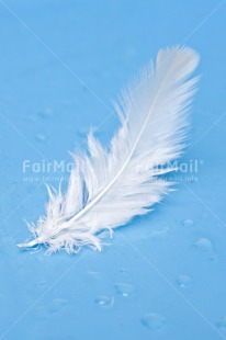 Fair Trade Photo Adjective, Blue, Colour, Colour image, Feather, Friendship, Get well soon, Peace, Peru, Place, Sorry, South America, Spirituality, Thank you, Thinking of you, Values, Vertical, White