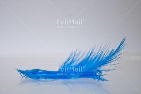 Fair Trade Photo Adjective, Blue, Colour, Colour image, Feather, Friendship, Get well soon, Horizontal, Peace, Peru, Place, Sorry, South America, Spirituality, Thank you, Thinking of you, Values, White