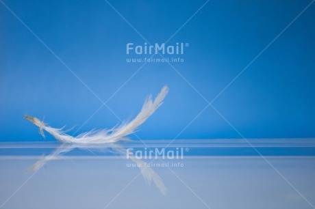 Fair Trade Photo Adjective, Blue, Colour, Colour image, Feather, Friendship, Get well soon, Horizontal, Peace, Peru, Place, Sorry, South America, Spirituality, Thank you, Thinking of you, Values, White