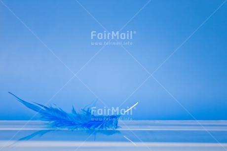 Fair Trade Photo Adjective, Blue, Colour, Colour image, Feather, Friendship, Get well soon, Horizontal, Peace, Peru, Place, Sorry, South America, Spirituality, Thank you, Thinking of you, Values, White