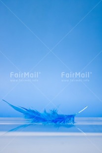 Fair Trade Photo Adjective, Blue, Colour, Colour image, Feather, Friendship, Get well soon, Peace, Peru, Place, Sorry, South America, Spirituality, Thank you, Thinking of you, Values, Vertical, White