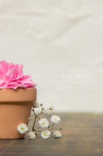 Fair Trade Photo Basket, Birthday, Colour, Communion, Flower, Friendship, Get well soon, Gift, Love, Mom, Mother, Mothers day, Nature, New home, Object, People, Pink, Present, Sister, Sorry, Thank you, Thinking of you, Valentines day, Welcome home, White