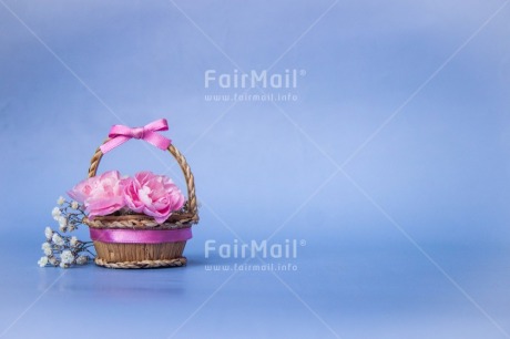 Fair Trade Photo Basket, Birthday, Blue, Colour, Communion, Flower, Friendship, Get well soon, Gift, Love, Mom, Mother, Mothers day, Nature, New home, Object, People, Pink, Present, Sister, Sorry, Thank you, Thinking of you, Valentines day, Welcome home, White