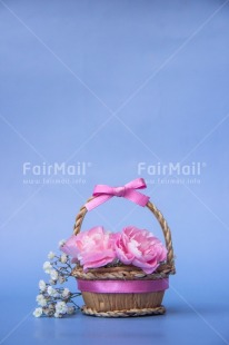 Fair Trade Photo Basket, Birthday, Blue, Colour, Communion, Flower, Friendship, Get well soon, Gift, Love, Mom, Mother, Mothers day, Nature, New home, Object, People, Pink, Present, Sister, Sorry, Thank you, Thinking of you, Valentines day, Welcome home, White