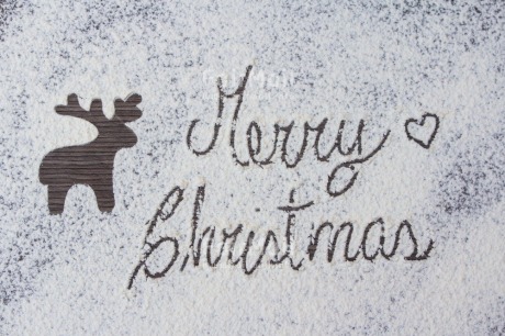 Fair Trade Photo Animals, Christmas, Christmas decoration, Letter, Object, Reindeer, Snow, Text