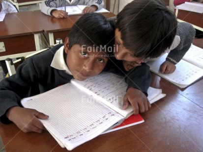 Fair Trade Photo Activity, Child labour, Colour image, Education, Exams, Horizontal, Indoor, Looking at camera, People, Peru, Portrait halfbody, Reading, School, Social issues, South America, Studying, Two boys, Two children