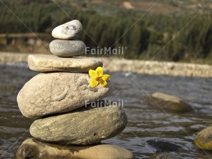 Fair Trade Photo Balance, Colour image, Condolence-Sympathy, Day, Flower, Horizontal, Nature, Outdoor, Peru, River, Rural, South America, Spirituality, Stone, Thinking of you, Water, Wellness, Yellow