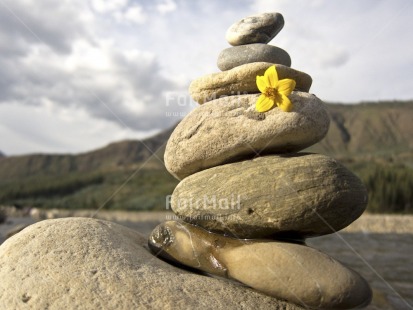Fair Trade Photo Balance, Colour image, Condolence-Sympathy, Day, Flower, Horizontal, Nature, Outdoor, Peru, River, Rural, South America, Spirituality, Stone, Thinking of you, Water, Wellness, Yellow