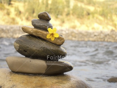 Fair Trade Photo Balance, Colour image, Condolence-Sympathy, Day, Flower, Horizontal, Nature, Outdoor, Peru, River, Rural, South America, Spirituality, Stone, Thinking of you, Water, Wellness, Yellow