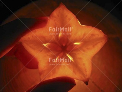 Fair Trade Photo Christmas, Colour image, Hand, Horizontal, Indoor, Light, Night, Peru, Seasons, South America, Star, Starfruit, Winter