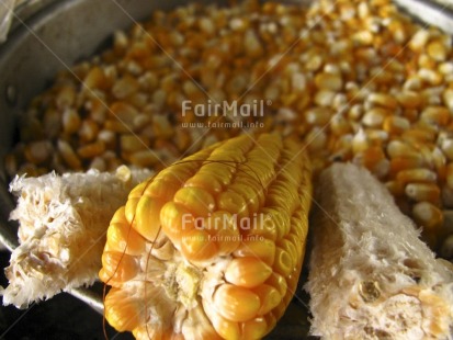 Fair Trade Photo Artistique, Colour image, Corn, Focus on foreground, Food and alimentation, Horizontal, Peru, South America