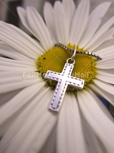 Fair Trade Photo Christianity, Colour image, Cross, Flower, Focus on background, Nature, Outdoor, Peru, Religion, Religious object, South America, Spirituality, Vertical, White, Yellow