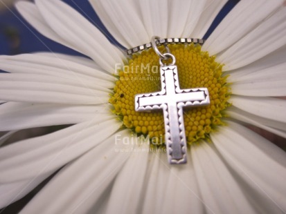 Fair Trade Photo Christianity, Closeup, Colour image, Cross, Flower, Focus on background, Horizontal, Nature, Outdoor, Peru, Religion, Religious object, South America, Spirituality, White, Yellow