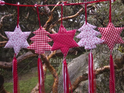 Fair Trade Photo Christmas, Colour image, Focus on foreground, Horizontal, Nature, Outdoor, Peru, Red, South America, Star, Tabletop, Tree, White