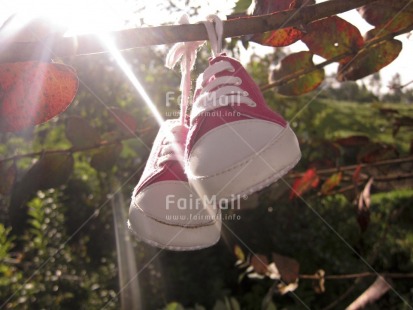 Fair Trade Photo Baby, Backlit, Birth, Colour image, Focus on foreground, Growth, Horizontal, Light, New baby, Outdoor, People, Peru, Shoe, South America, Sun, Tabletop, Tree