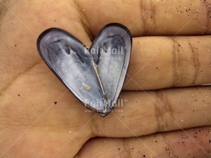 Fair Trade Photo Closeup, Colour image, Day, Hand, Heart, Horizontal, Love, Outdoor, Peru, Sand, Seasons, Shell, South America, Summer, Valentines day