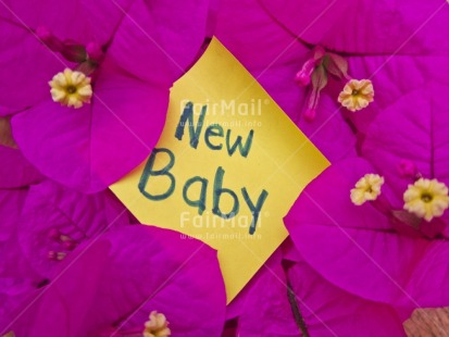 Fair Trade Photo Birth, Closeup, Colour image, Flower, Horizontal, Letter, New baby, Peru, Pink, South America, Tabletop, Yellow