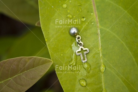 Fair Trade Photo Christianity, Colour image, Cross, Day, Forest, Green, Horizontal, Leaf, Nature, Outdoor, Peru, Plant, Rain, Religion, Silver, South America, Waterdrop