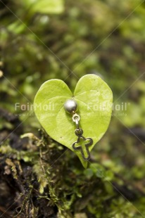 Fair Trade Photo Christianity, Colour image, Cross, Day, Forest, Green, Heart, Leaf, Love, Nature, Outdoor, Peru, Plant, Rain, Religion, Silver, South America, Vertical