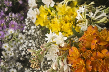 Fair Trade Photo Colour image, Flower, Food and alimentation, Fruits, Horizontal, Multi-coloured, Nature, Orange, Peru, South America, Yellow