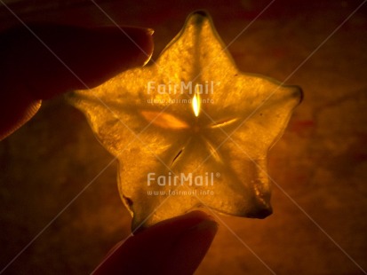 Fair Trade Photo Artistique, Christmas, Closeup, Colour image, Evening, Food and alimentation, Fruits, Hand, Horizontal, Indoor, Peru, South America, Star, Starfruit