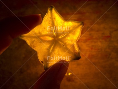 Fair Trade Photo Artistique, Christmas, Closeup, Colour image, Evening, Food and alimentation, Fruits, Hand, Horizontal, Indoor, Peru, South America, Star, Starfruit