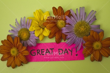 Fair Trade Photo Birthday, Colour image, Congratulations, Flower, Food and alimentation, Fruits, Horizontal, Indoor, Letter, Marriage, Orange, Peru, Purple, South America, Studio