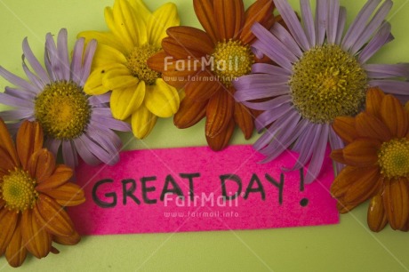 Fair Trade Photo Birthday, Colour image, Congratulations, Flower, Food and alimentation, Fruits, Horizontal, Indoor, Letter, Marriage, Orange, Peru, Purple, South America, Studio