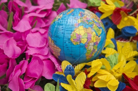 Fair Trade Photo Colour image, Earth, Environment, Flower, Globe, Horizontal, Peru, Responsibility, South America, Sustainability, Values, World