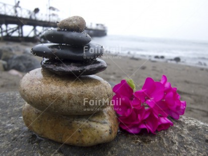 Fair Trade Photo Balance, Beach, Colour image, Condolence-Sympathy, Flower, Horizontal, Huanchaco, Peru, Pink, Sea, South America, Spirituality, Stone, Thinking of you, Water, Wellness