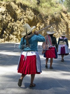 Fair Trade Photo Activity, Agriculture, Carrying, Clothing, Colour image, Cooperation, Day, Farmer, Group of women, Latin, Outdoor, People, Perspective, Peru, Rural, South America, Streetlife, Strength, Traditional clothing, Vertical, Working