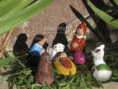 Fair Trade Photo Animals, Baby, Birth, Christianity, Christmas, Colour image, Day, Horizontal, Jesus, Light, Outdoor, People, Peru, Religion, South America, Sun