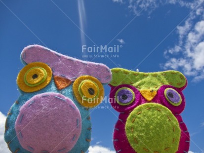 Fair Trade Photo Animals, Bird, Colour image, Colourful, Friendship, Horizontal, Outdoor, Owl, Peru, South America, Tabletop