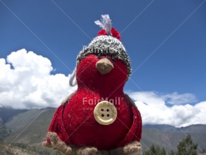 Fair Trade Photo Animals, Bird, Christmas, Colour image, Horizontal, Outdoor, Owl, Peru, Red, Seasons, Sky, South America, Tabletop, Winter